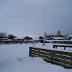 DSC00357.JPG