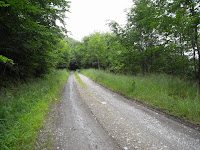R0021003.JPG Photo