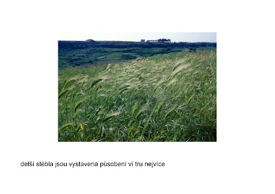 kamirova_turany_Page_14.jpg
