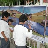 gigantof&aacute;bulas