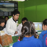 Ferias en Isla de Maipo