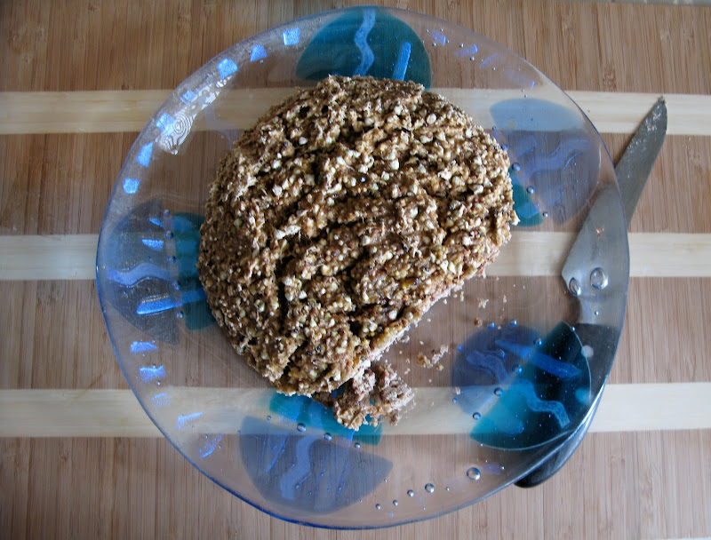 Curiosity's Path Essene Bread (non gluten grains)