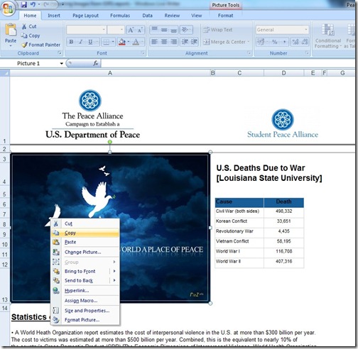 Excel report extract