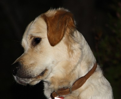 IMG_0133 IMG_0133
