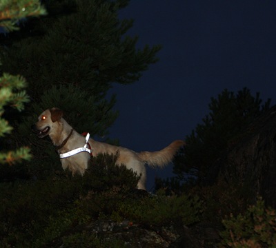 IMG_0136 IMG_0136