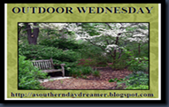 OutdoorWednesdaylogo54