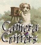 CameraCritters3