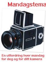 mandag
