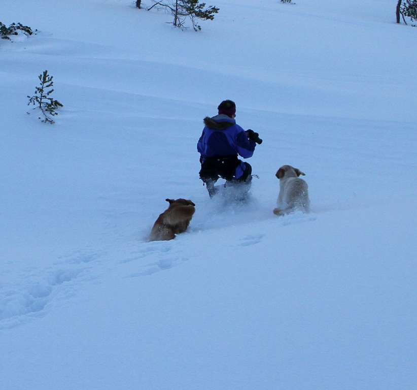 [Full fart i djupsnø[5].jpg]