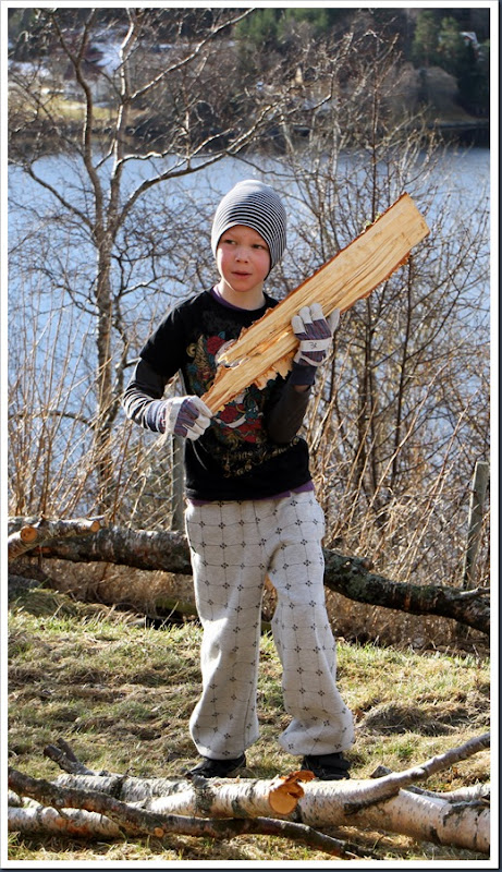 IMG_2511