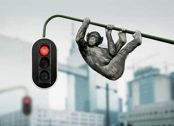 Фотоманипуляции.