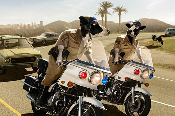 Фотоманипуляции.