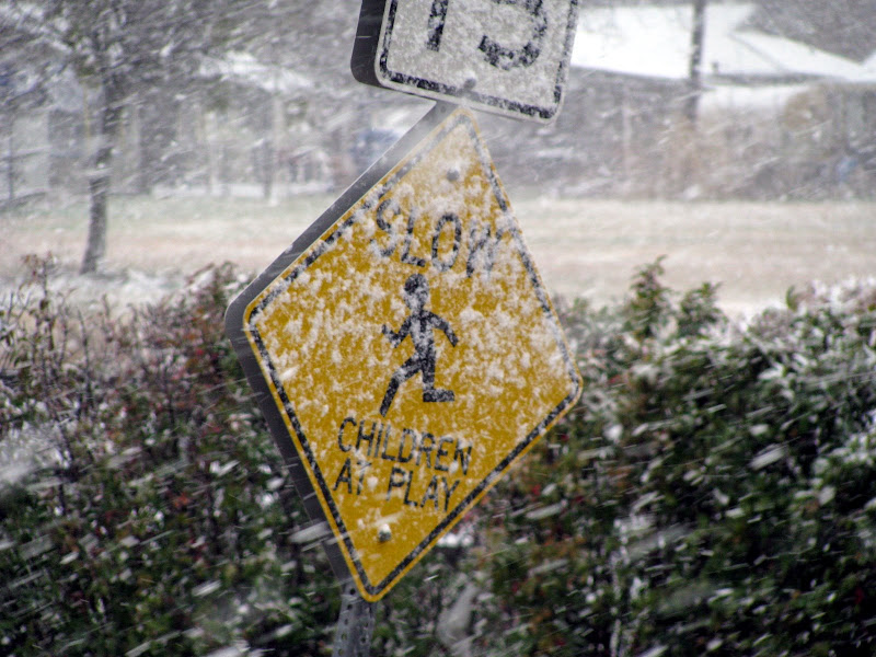 march_snow_07-03.jpg