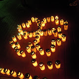Fuyu Hotaru 20081220