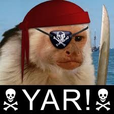[pirate monkey[2].jpg]