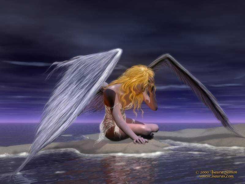 [Fallen-Angel-angels-12573164-800-600[2][1].jpg]