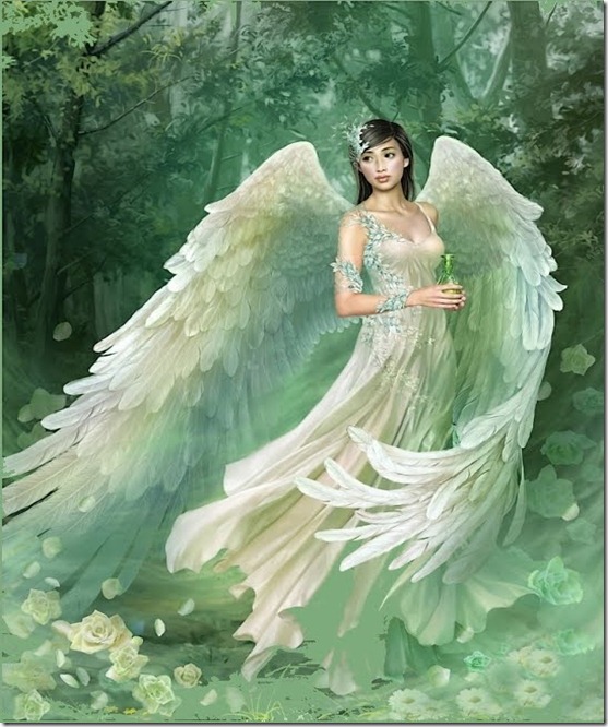 Angel bosque
