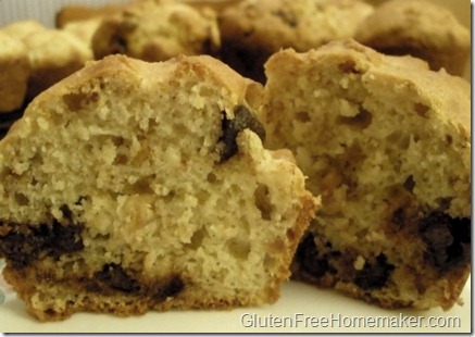 chocolate chip muffin