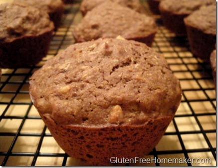 chocolate coconut muffins