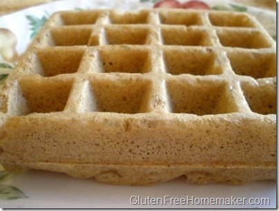 multigrain waffle on plate