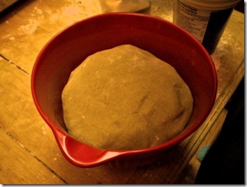 Gina's gingerbread dough