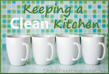 Clean Kitchen Clean Kitchen