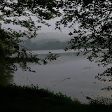 IMGP3616.JPG