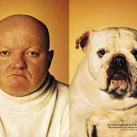Perros04.jpg