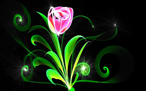 Rosa con Flame de Peter Blaskovic Rosa con Flame de Peter Blaskovic
