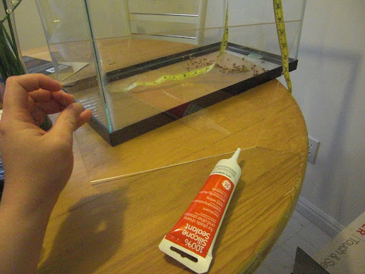 plexiglas