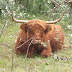 DSCF6008.JPG