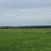 Hooibalen