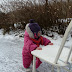 P1000279.jpg