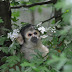 DSC_0841.jpg