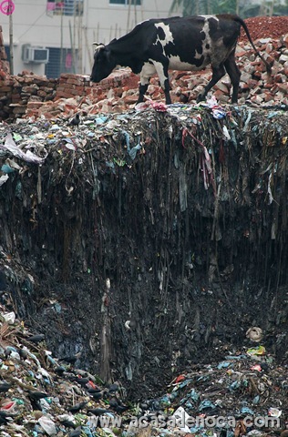 [plastic_09[10].jpg]