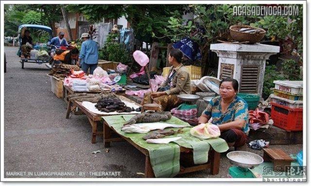 [asian_market_08[8].jpg]