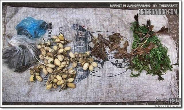 [asian_market_09[8].jpg]