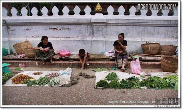 [asian_market_10[8].jpg]
