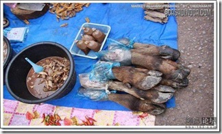 asian_market_16