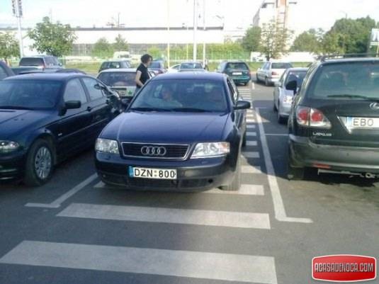 [1252311123_1245159136povilonuotr.[4].jpg]