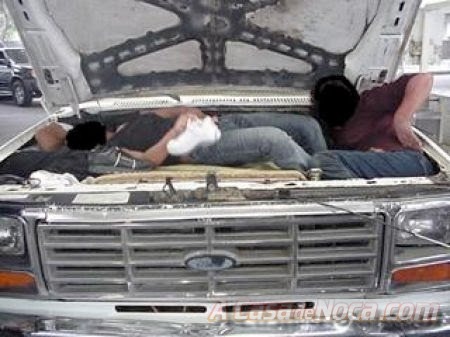 [illegal_aliens_4[3].jpg]