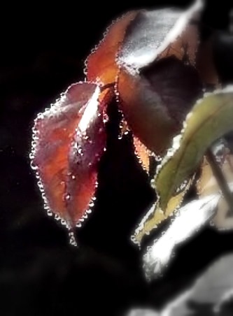[rain_filteredcopypicassa9.jpg]