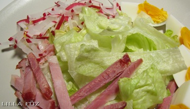 salata1