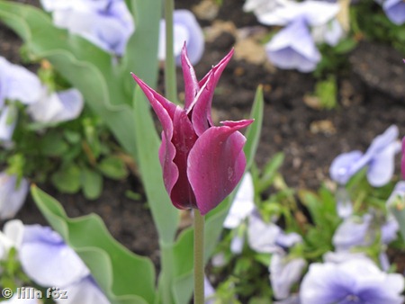 IMG_6900 IMG_6900