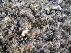 Ice crytals.