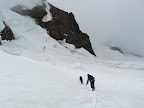 and down....
