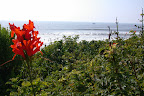 California sun and surf at Salt Creek State Park.