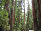 Highway 1, Humboldt County