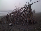 Driftwood sculpture in La Push, Washington. Surf was decent... cold though!
