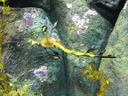 Seahorse at the new Seahorse exhibit at the Monterey Bay Aquarium.